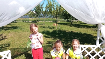 Zdjęcie WhatsApp 2025-06-30 o 18.23.30_ba92b82a