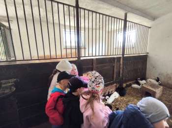 Zdjęcie WhatsApp 2025-09-28 o 16.23.39_03dc8cbd