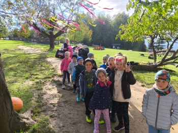 Zdjęcie WhatsApp 2025-09-28 o 16.23.41_9e9c2231