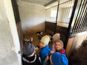 Zdjęcie WhatsApp 2025-09-28 o 16.23.39_8339c15f