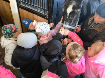 Zdjęcie WhatsApp 2025-09-28 o 16.23.39_31656286