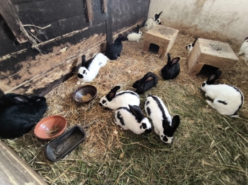 Zdjęcie WhatsApp 2025-09-28 o 16.23.39_b576c90e