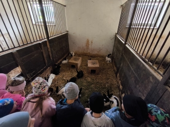 Zdjęcie WhatsApp 2025-09-28 o 16.23.39_ed9f6546