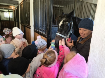 Zdjęcie WhatsApp 2025-09-28 o 16.23.39_cf415b91