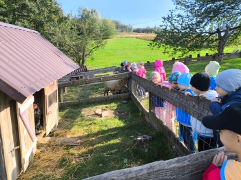 Zdjęcie WhatsApp 2025-09-28 o 16.23.38_aaece5c2