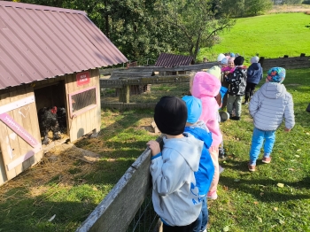 Zdjęcie WhatsApp 2025-09-28 o 16.23.38_bb2143f0