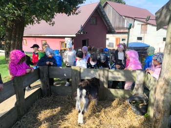 Zdjęcie WhatsApp 2025-09-28 o 16.23.38_fa420297