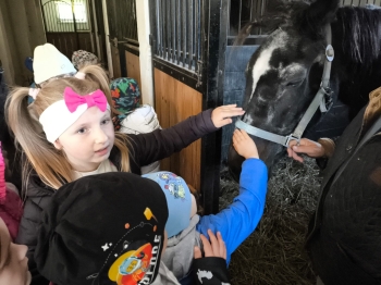 Zdjęcie WhatsApp 2025-09-28 o 16.23.39_af791e3e