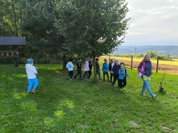 Zdjęcie WhatsApp 2025-09-28 o 16.23.38_7c922ab1