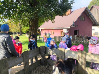 Zdjęcie WhatsApp 2025-09-28 o 16.23.38_cb00cca8