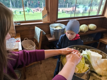 Zdjęcie WhatsApp 2025-09-28 o 16.23.35_aaefec2e