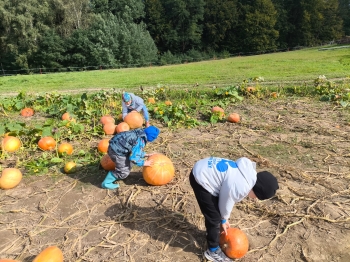 Zdjęcie WhatsApp 2025-09-28 o 16.23.33_93bc0dc0