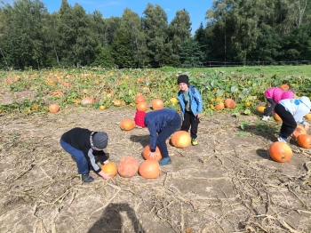 Zdjęcie WhatsApp 2025-09-28 o 16.23.33_67b44f56