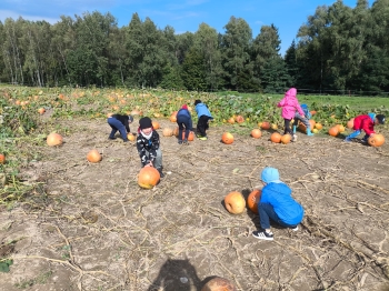 Zdjęcie WhatsApp 2025-09-28 o 16.23.33_aa5a9b5a