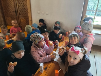 Zdjęcie WhatsApp 2025-09-28 o 16.23.34_65659bec