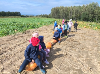 Zdjęcie WhatsApp 2025-09-28 o 16.23.32_92a07335