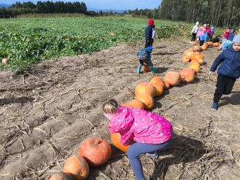 Zdjęcie WhatsApp 2025-09-28 o 16.23.32_614ac7ff