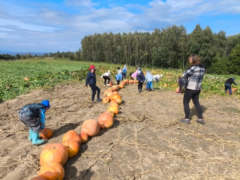 Zdjęcie WhatsApp 2025-09-28 o 16.23.32_88328ca1