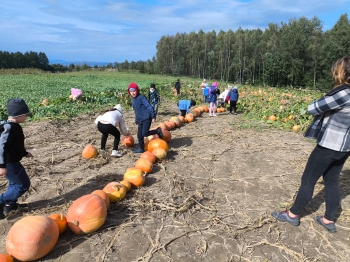 Zdjęcie WhatsApp 2025-09-28 o 16.23.33_b88fab00