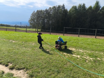 Zdjęcie WhatsApp 2025-09-28 o 16.23.31_87c089de