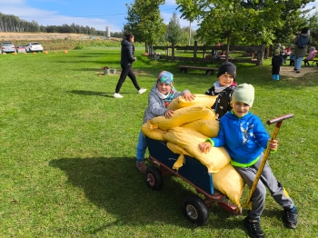 Zdjęcie WhatsApp 2025-09-28 o 16.23.08_8731440f