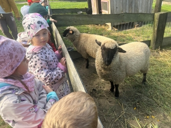 Zdjęcie WhatsApp 2025-09-27 o 23.01.44_aa870d64