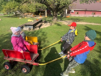 Zdjęcie WhatsApp 2025-09-27 o 22.59.03_6d64ebf4