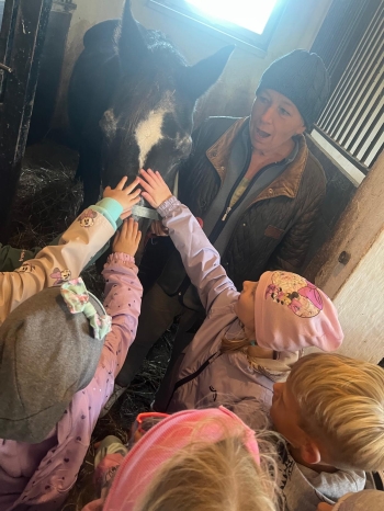 Zdjęcie WhatsApp 2025-09-27 o 23.01.44_97d005e2