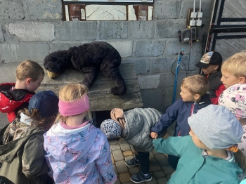 Zdjęcie WhatsApp 2025-09-27 o 23.01.44_80e4ea6e