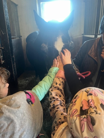 Zdjęcie WhatsApp 2025-09-27 o 23.01.45_620c42eb