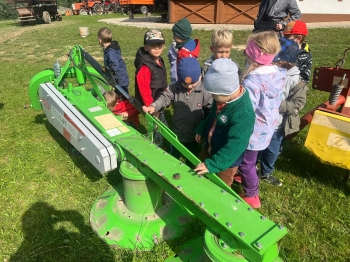 Zdjęcie WhatsApp 2025-09-27 o 23.01.48_36991415