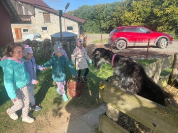 Zdjęcie WhatsApp 2025-09-27 o 22.59.04_f86838b1