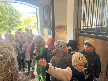 Zdjęcie WhatsApp 2025-09-27 o 23.01.44_5cf8d4e8