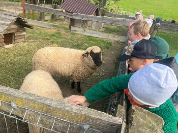 Zdjęcie WhatsApp 2025-09-27 o 23.01.44_ac8c0c2c