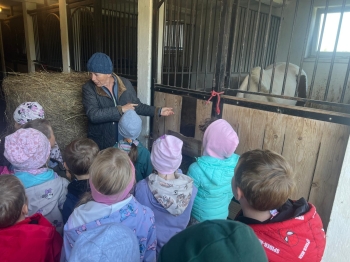 Zdjęcie WhatsApp 2025-09-27 o 23.01.44_de5fd130