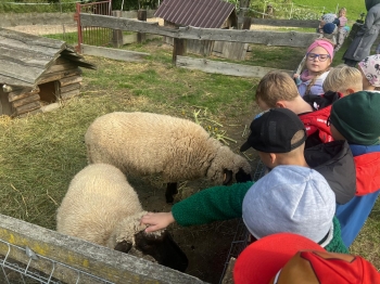 Zdjęcie WhatsApp 2025-09-27 o 23.01.44_bab5f946