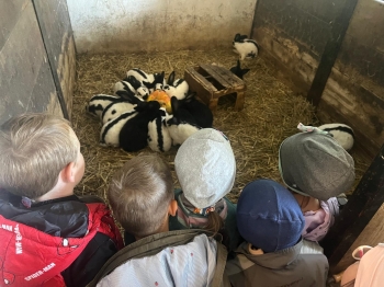 Zdjęcie WhatsApp 2025-09-27 o 23.01.44_e2132690