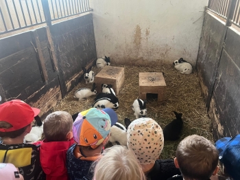 Zdjęcie WhatsApp 2025-09-27 o 23.01.45_6e317ab9