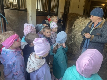 Zdjęcie WhatsApp 2025-09-27 o 23.01.45_31d8e84c