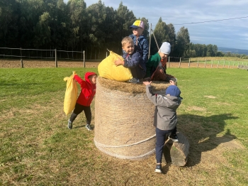 Zdjęcie WhatsApp 2025-09-27 o 22.59.03_d277e380