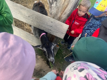 Zdjęcie WhatsApp 2025-09-27 o 23.01.45_8f6d15d1