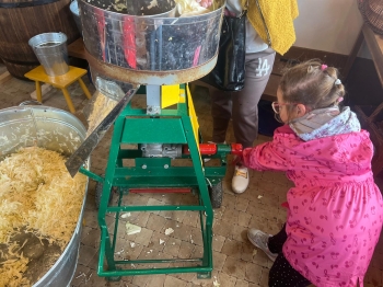 Zdjęcie WhatsApp 2025-09-27 o 23.01.46_76a47b4b