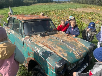 Zdjęcie WhatsApp 2025-09-27 o 23.01.48_59b8f52e