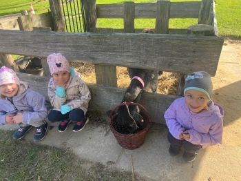 Zdjęcie WhatsApp 2025-09-27 o 22.59.04_6427e256