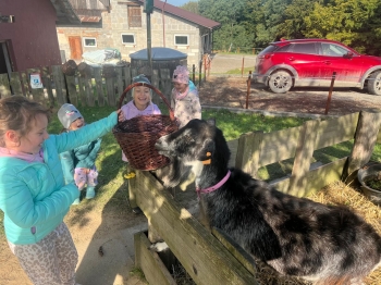 Zdjęcie WhatsApp 2025-09-27 o 22.59.04_3a3754aa