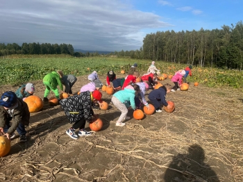 Zdjęcie WhatsApp 2025-09-27 o 22.59.03_0f47d188