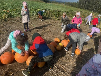 Zdjęcie WhatsApp 2025-09-27 o 22.59.02_5809666a