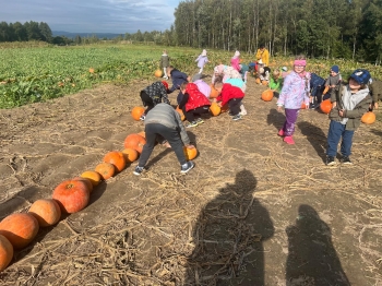 Zdjęcie WhatsApp 2025-09-27 o 22.59.02_88eada6c