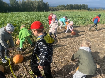 Zdjęcie WhatsApp 2025-09-27 o 22.59.02_ce2c8922