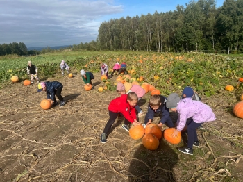 Zdjęcie WhatsApp 2025-09-27 o 22.59.02_de388977